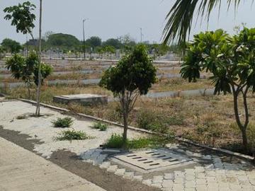 Residential Plot in Borkhedi,Sirul for resale Nagpur. The reference number is 20408972