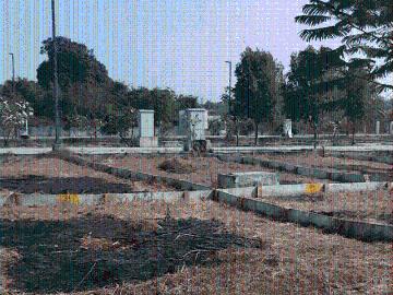 Residential Plot in Borkhedi,Sirul for resale Nagpur. The reference number is 20408989