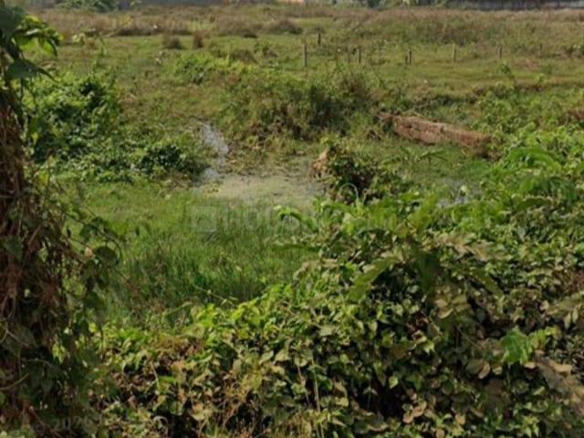 Residential Plot in Brahmeswarpatna for resale Bhubaneswar. The reference number is 21148161