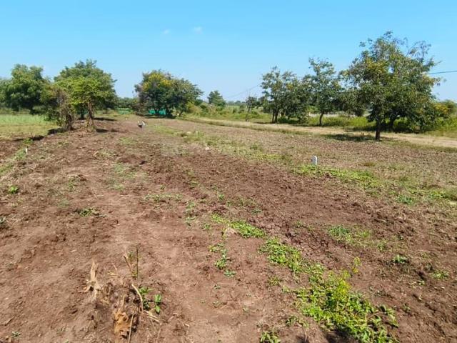 Residential Plot in CDO MERI Colony for resale Nashik. The reference number is 20807823