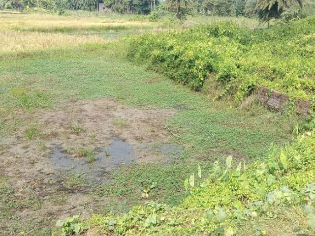 Residential Plot in Jagadishpur, Sonarpur for resale Kolkata. The reference number is 17304497