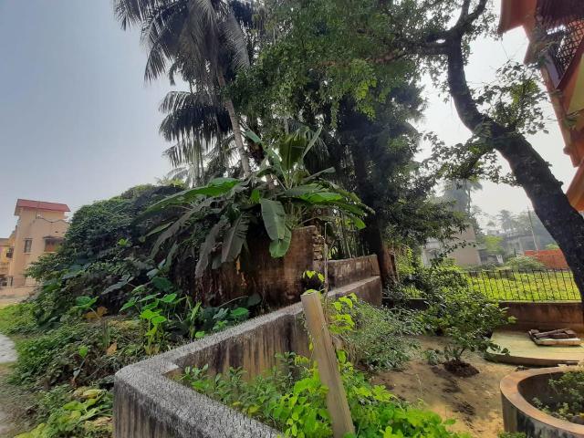 Residential Plot in Chandannagar for resale Hooghly. The reference number is 8149312