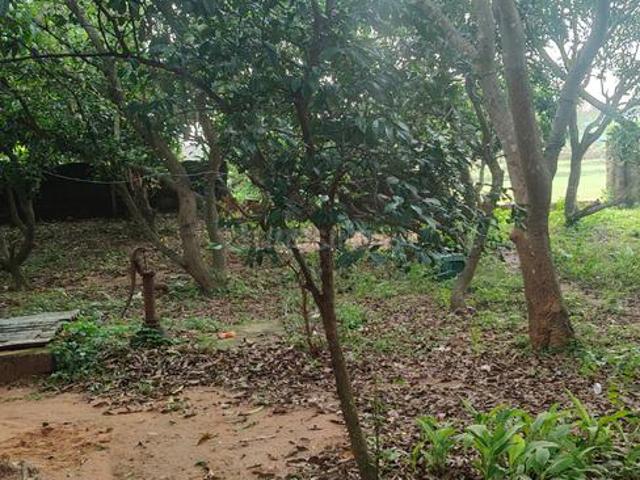 Residential Plot in Chandaka for resale Bhubaneswar. The reference number is 20648001