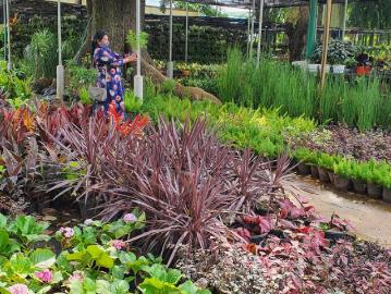 Residential Plot in Chandapura for resale Bengaluru. The reference number is 7992894