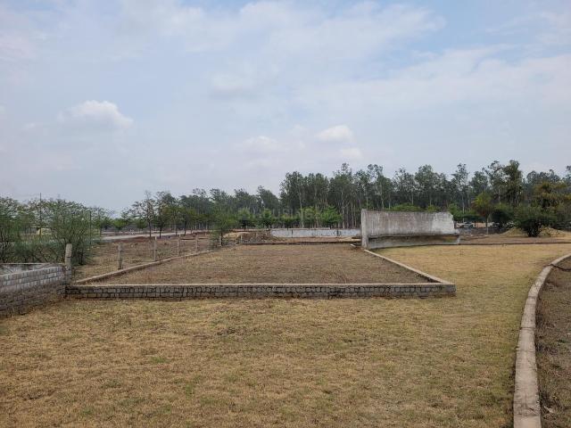Residential Plot in Chandkhuri for resale Raipur. The reference number is 19272705