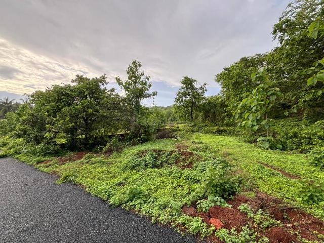Residential Plot in Chandor for resale Goa. The reference number is 20544519