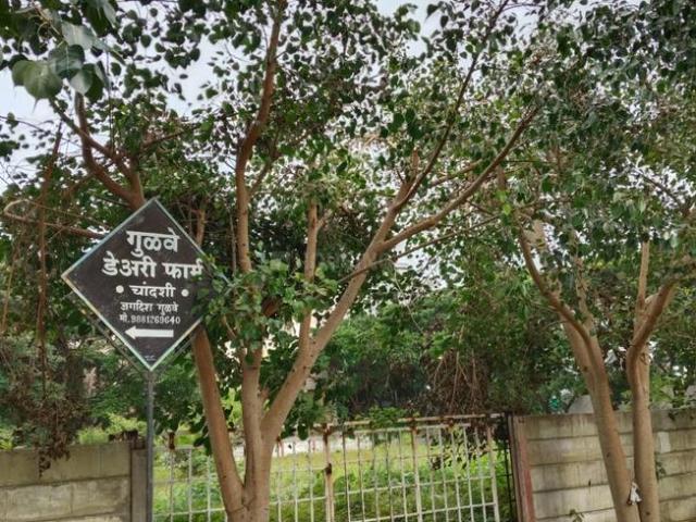 Residential Plot in Chandshi for resale Nashik. The reference number is 18228749