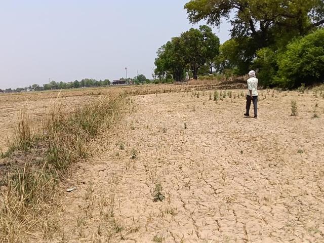 Residential Plot in Chakeri for resale Kanpur. The reference number is 19277861
