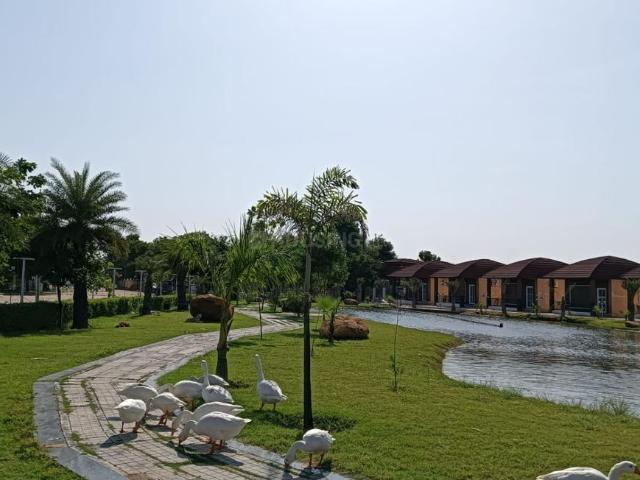 Residential Plot in Chaksu for resale Jaipur. The reference number is 21374443