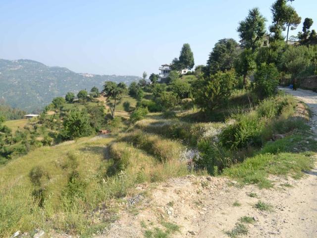 Residential Plot in Chaukhuta for resale Nainital. The reference number is 10302709