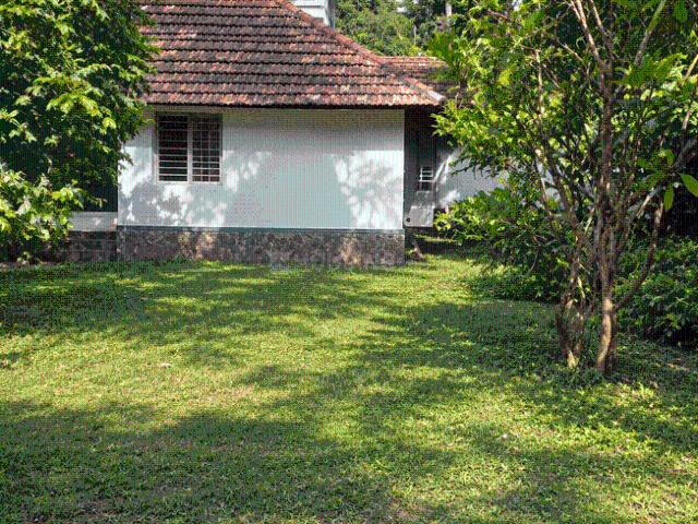 Residential Plot in Chembukkav for resale Thrissur. The reference number is 21158519