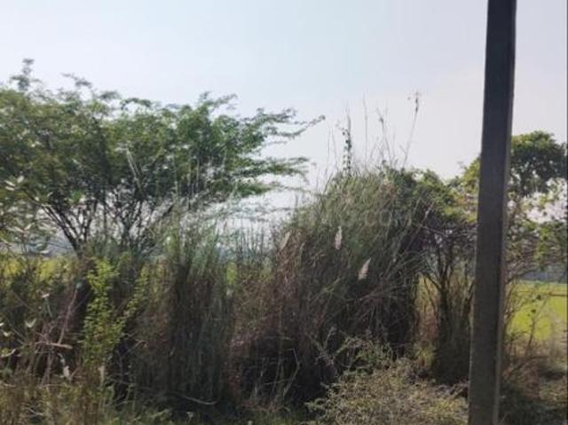 Residential Plot in Chengalpattu for resale Chennai. The reference number is 20684591