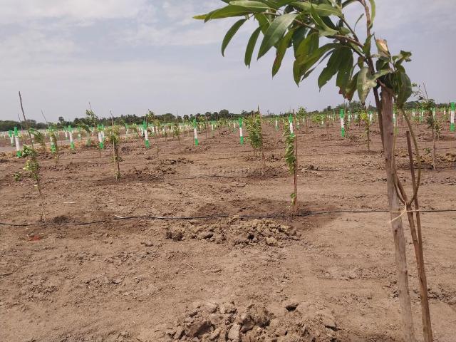 Residential Plot in Chengalpattu for resale Chennai. The reference number is 20803956