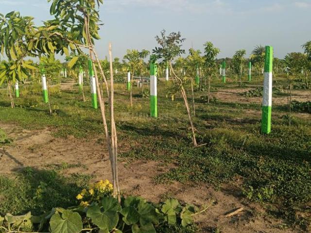 Residential Plot in Chengalpattu for resale Chennai. The reference number is 21186762