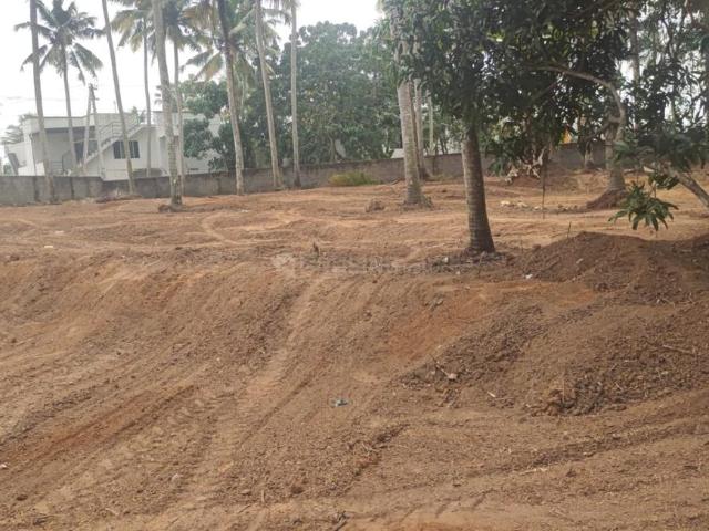 Residential Plot in Chenkottukonam for resale Thiruvananthapuram. The reference number is 20375861