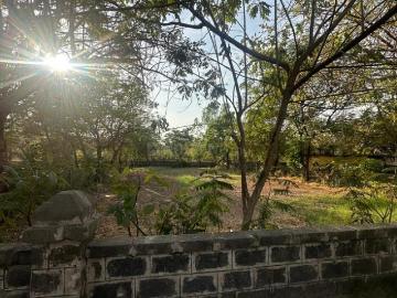 Rethal Greens, Surendranagar District, Gujarat