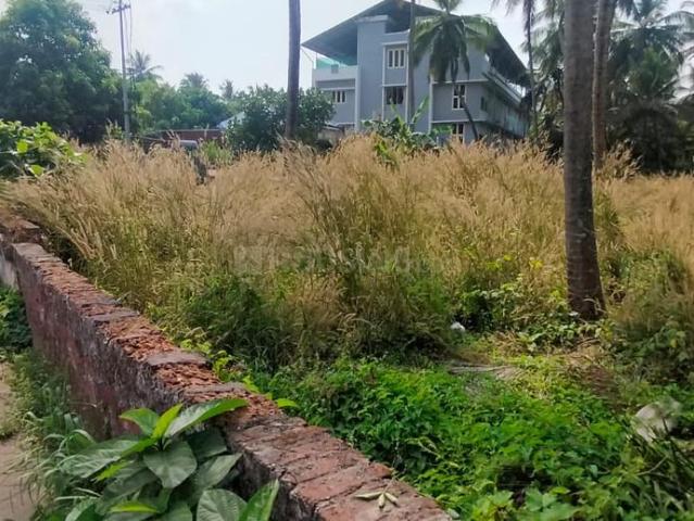 Residential Plot in Chelakkottukara for resale Thrissur. The reference number is 19843568
