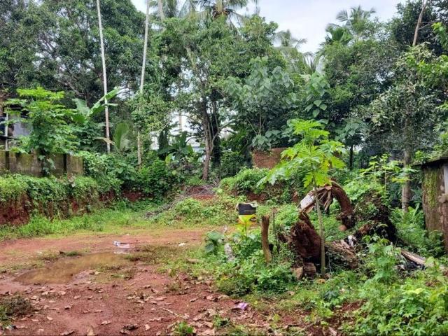 Residential Plot in Chelavoor for resale Kozhikode. The reference number is 20859177