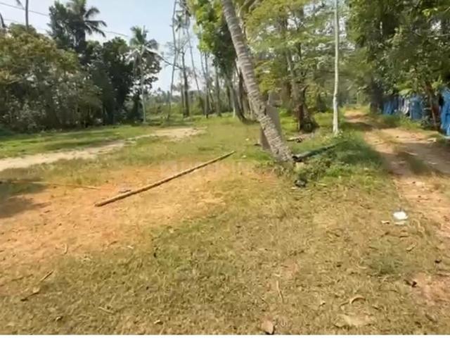 Residential Plot in Cherthala for resale Alappuzha. The reference number is 20545063