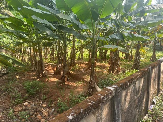 Residential Plot in Cheroor for resale Thrissur. The reference number is 19113788