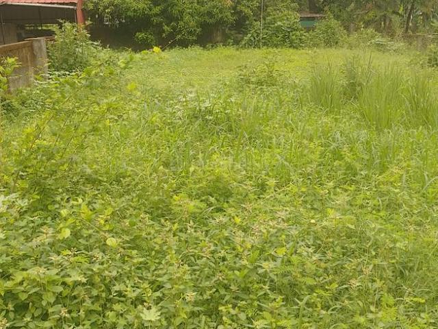 Residential Plot in Cheroor for resale Thrissur. The reference number is 20192566