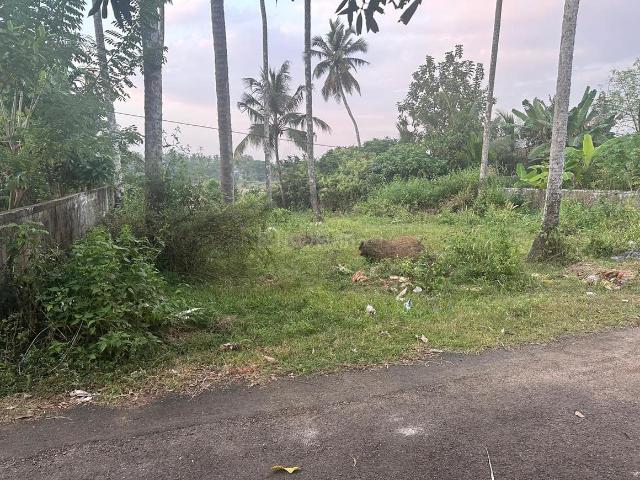 Residential Plot in Chettupuzha for resale Thrissur. The reference number is 19312736