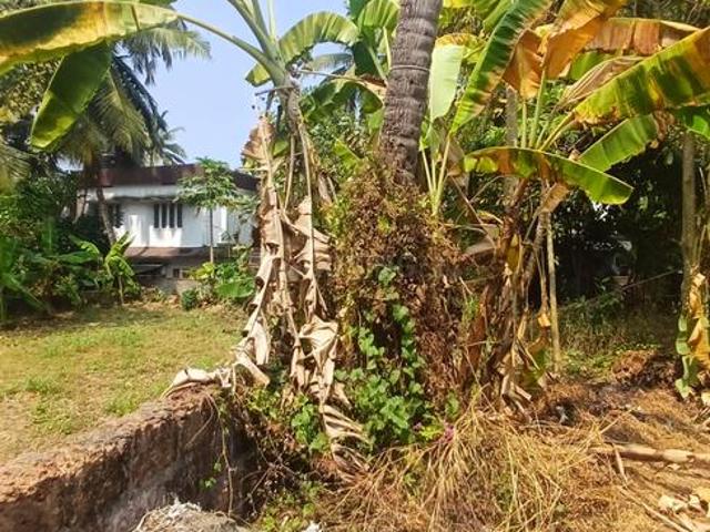 Residential Plot in Chevarambalam for resale Kozhikode. The reference number is 19475461
