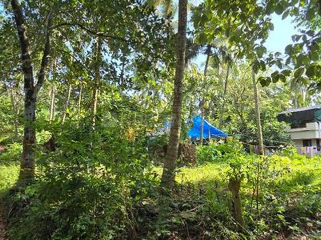 Residential Plot in Chevarambalam for resale Kozhikode. The reference number is 21059194
