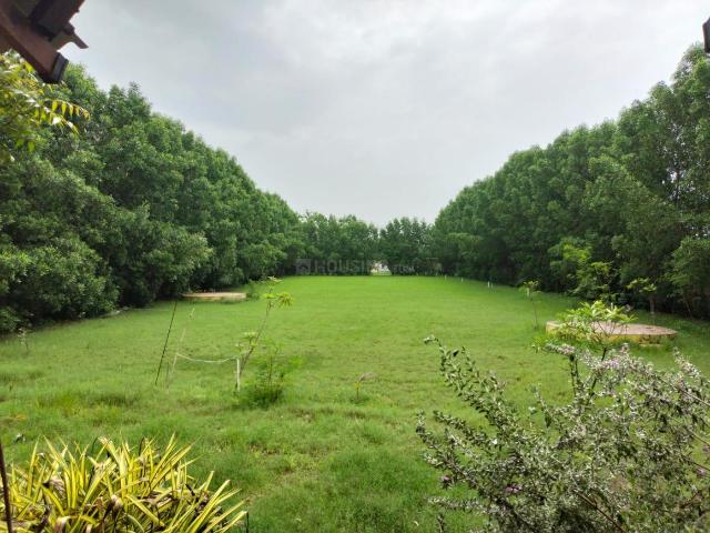 Residential Plot in Chhabasar for resale Ahmedabad. The reference number is 19499174