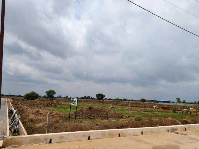 Residential Plot in Chhachhanpairi for resale Raipur. The reference number is 20657867