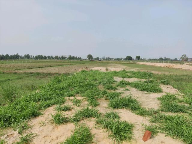 Residential Plot in Chhapraula for resale Ghaziabad. The reference number is 20710199
