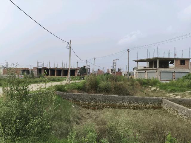 Residential Plot in Chhapraula for resale Ghaziabad. The reference number is 20803491