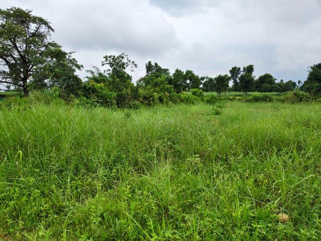 Residential Plot in Chharba for resale Dehradun. The reference number is 17908967