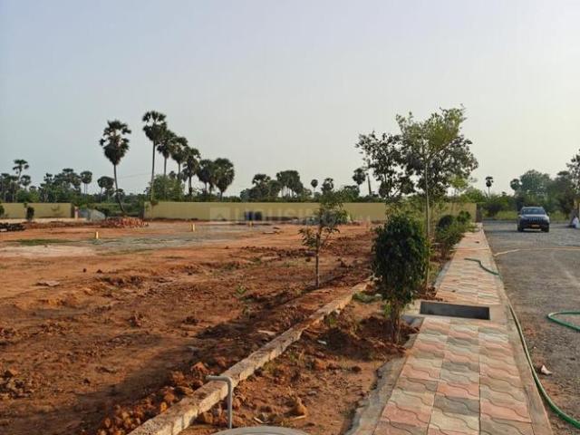 Residential Plot in China Yerukapadu for resale Gudivada. The reference number is 20010215