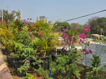 Residential Plot in Chikhale for resale Navi Mumbai. The reference number is 20170006