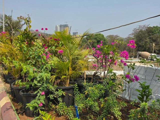 Residential Plot in Chikhale for resale Navi Mumbai. The reference number is 20170006