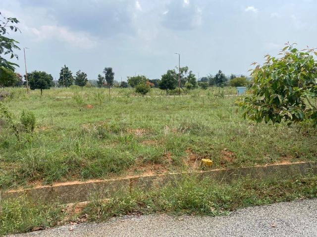 Residential Plot in Chikkajala for resale Bengaluru. The reference number is 13036868