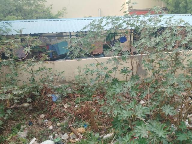 Residential Plot in Chikkalasandra for resale Bengaluru. The reference number is 20318098
