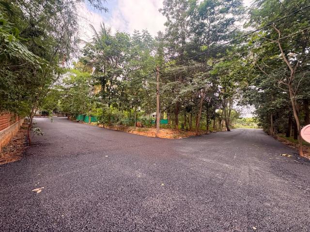 Residential Plot in Chikkalasandra for resale Bengaluru. The reference number is 20653182