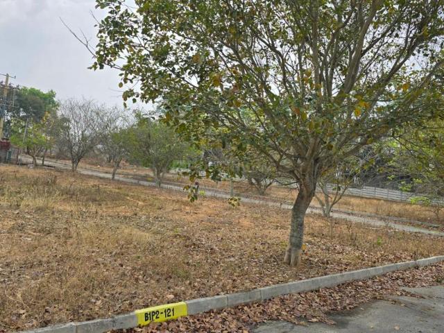 Residential Plot in Chikkasagarahalli for resale Chikballapur District. The reference number is 19761268