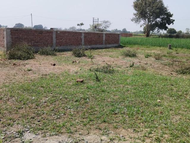 Residential Plot in Chirora for resale Patna. The reference number is 19633949
