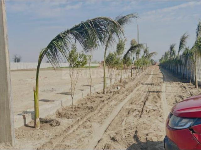 Residential Plot in Chirsi for resale Faridabad. The reference number is 21063902
