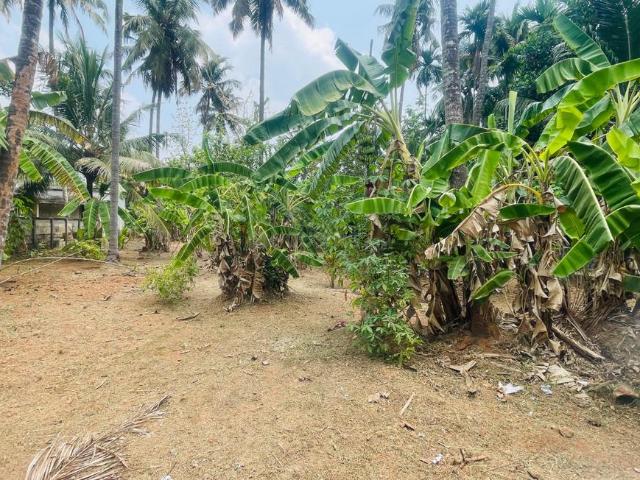 Residential Plot in Chiyyaram for resale Thrissur. The reference number is 19745604