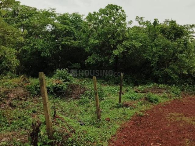 Residential Plot in Chorao for resale Goa. The reference number is 20677911