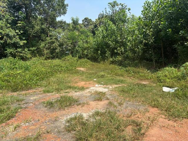 Residential Plot in Chottanikkara for resale Kochi. The reference number is 16538883