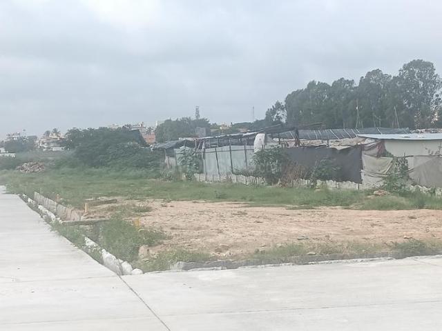 Residential Plot in Ckikkakammana Halli for resale Bengaluru. The reference number is 21231765