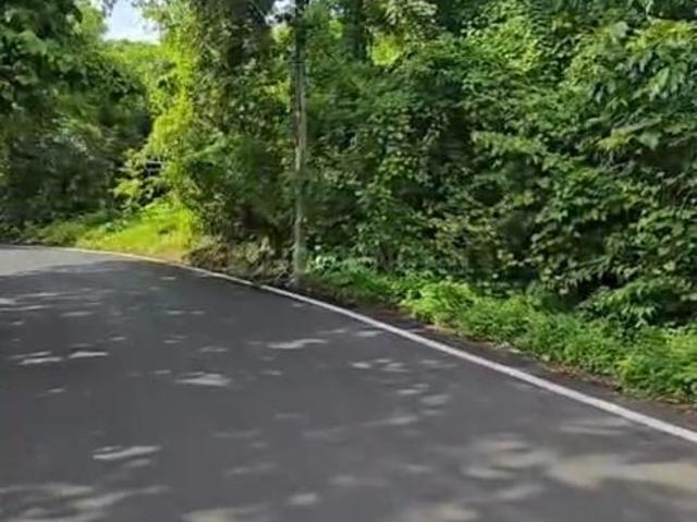 Residential Plot in Corgao for resale Goa. The reference number is 20980316
