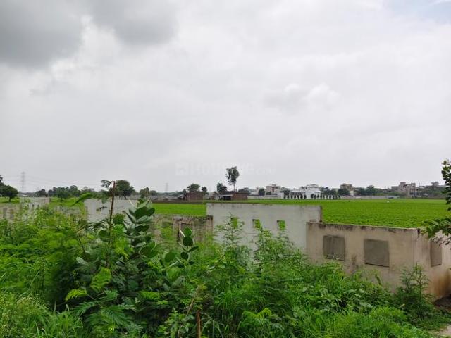 Residential Plot in County Walk Township for resale Indore. The reference number is 17931297