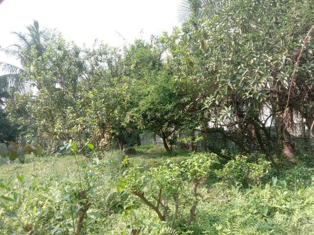 Residential Plot in Dum Dum for resale Kolkata. The reference number is 13933851