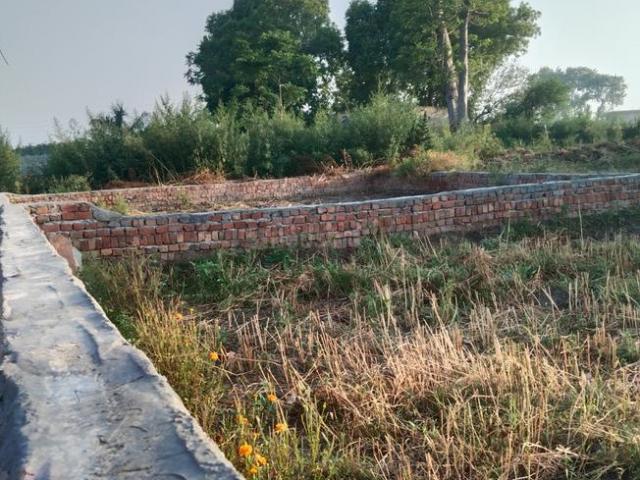 Residential Plot in Dadasiya for resale Faridabad. The reference number is 19996885